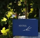 Kestrel