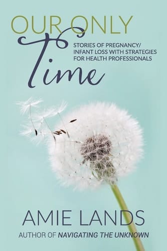 Our Only Time Stories of Pregnancy/Infant Loss with Strategies for Health Professionals