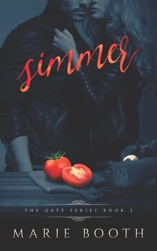 Simmer The GateSeries Book 2