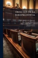 Defectos De La Jurisprudencia