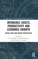 Intangible Assets, Productivity and Economic Growth Micro, Meso and Macro Perspectives