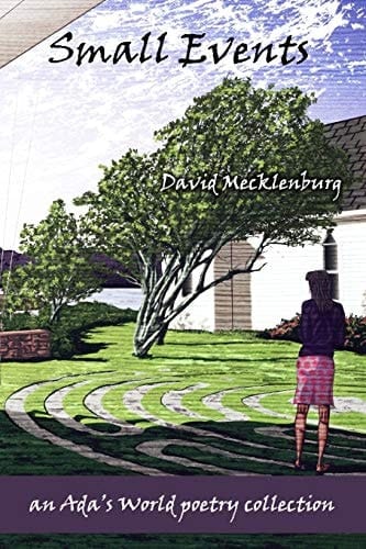 Small Events An Ada's World Poetry Collection