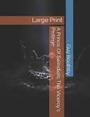 A Prince Of Swindlers The Viceroy's Protégé Large Print