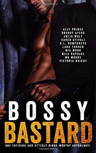 Bossy Bastard: a Romance Anthology
