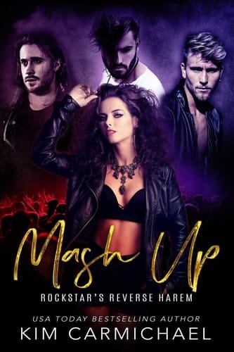 Mash Up - Rockstar's Reverse Harem