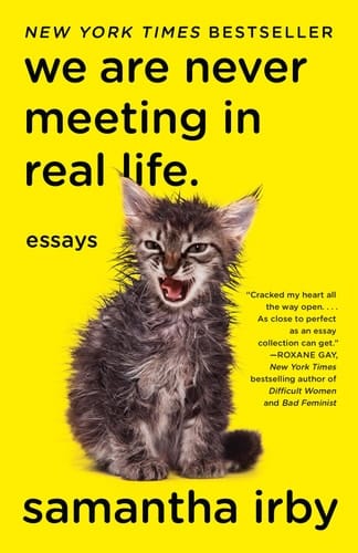 We Are Never Meeting in Real Life. Essays
