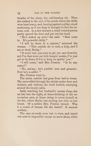 Far in the Forest a Story