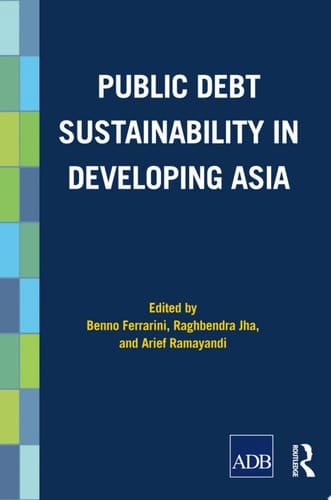 Public Debt Sustainability in Developing Asia