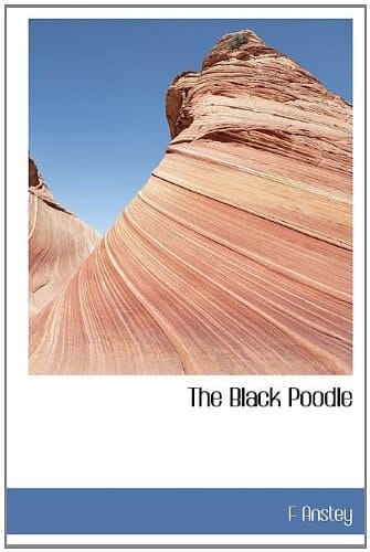The Black Poodle