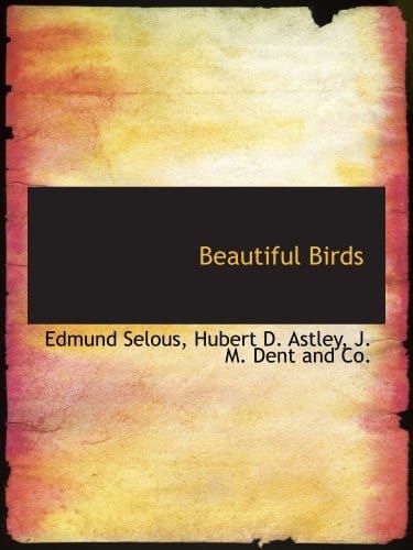 Beautiful Birds