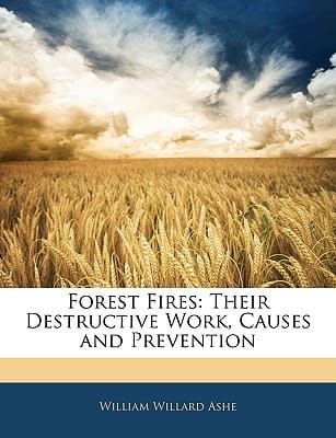 Forest Fires: Their Destructive Work, Causes and Prevention