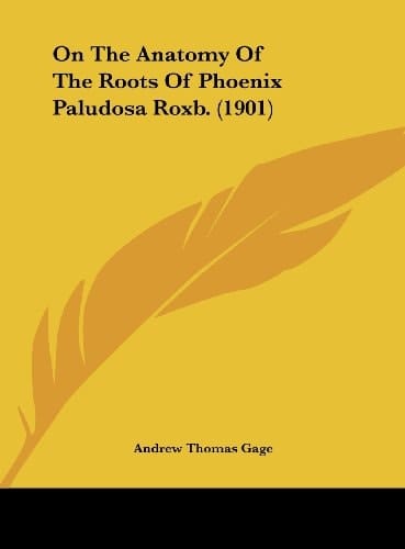 On The Anatomy Of The Roots Of Phoenix Paludosa Roxb. (1901)
