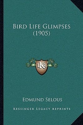 Bird Life Glimpses (1905)