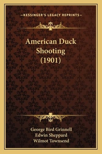 American Duck Shooting (1901)