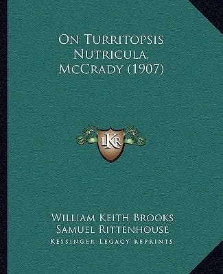 On Turritopsis Nutricula, McCrady (1907)
