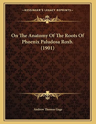 On The Anatomy Of The Roots Of Phoenix Paludosa Roxb. (1901)
