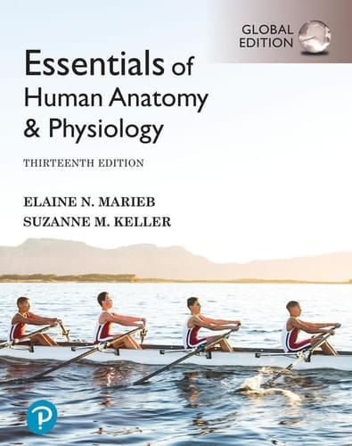 Access Card -- Pearson Mastering A&P with Pearson eText for Essentials of Human Anatomy & Physiology, Global Edition