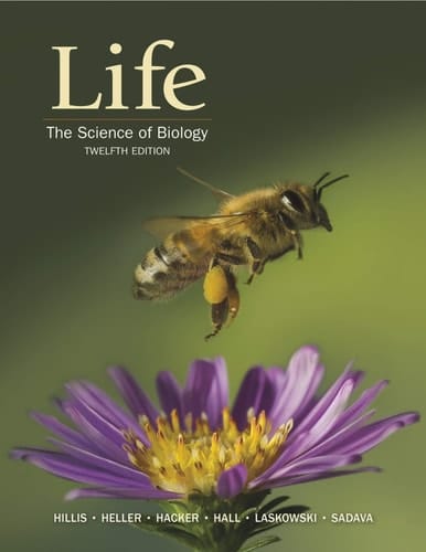 Life The Science of Biology