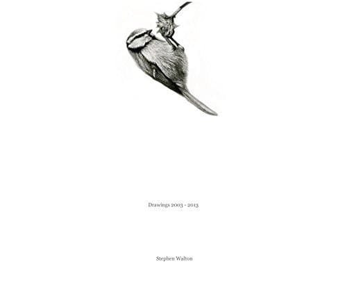 Drawings 2003 - 2013