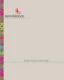 AeroMexico Branding Guildlines