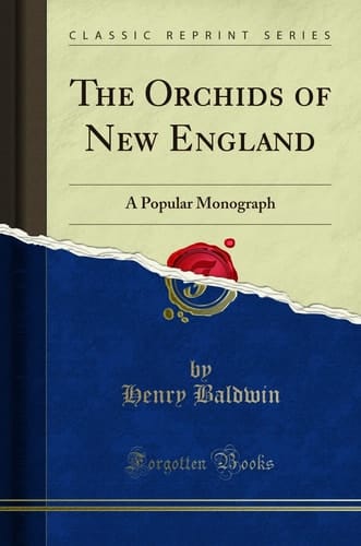 The Orchids of New England A Popular Monograph (Classic Reprint)