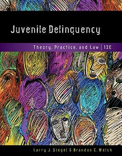 Juvenile Delinquency: Theory, Practice, and Law