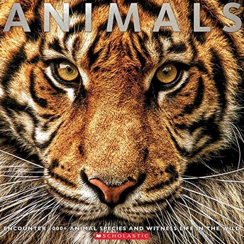 Animals: Witness Life in the Wild Featuring 100s of Species
