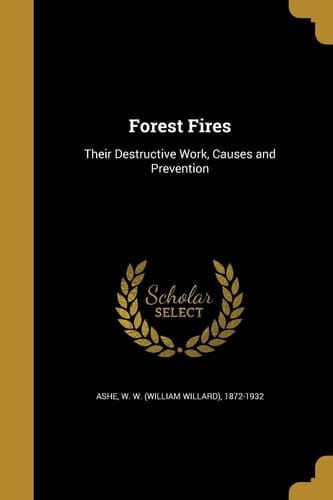 Forest Fires