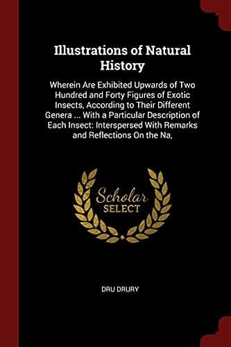 Illustrations of Natural History Wherein Are Exhibited Upwards of Two Hundred and Forty Figures of Exotic Insects, According to Their Different Genera ... with a Particular Description of Each Insect: Interspersed with Remarks and Reflections on the Na,