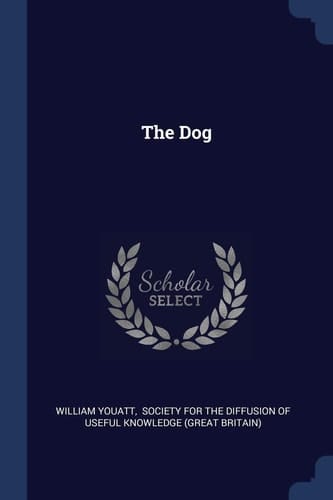 The Dog