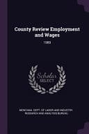 County Review Employment and Wages 1989