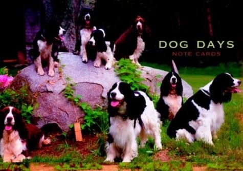 Dog Days Large Note Cards in a Magnetic-Closure Box (Potter Style)