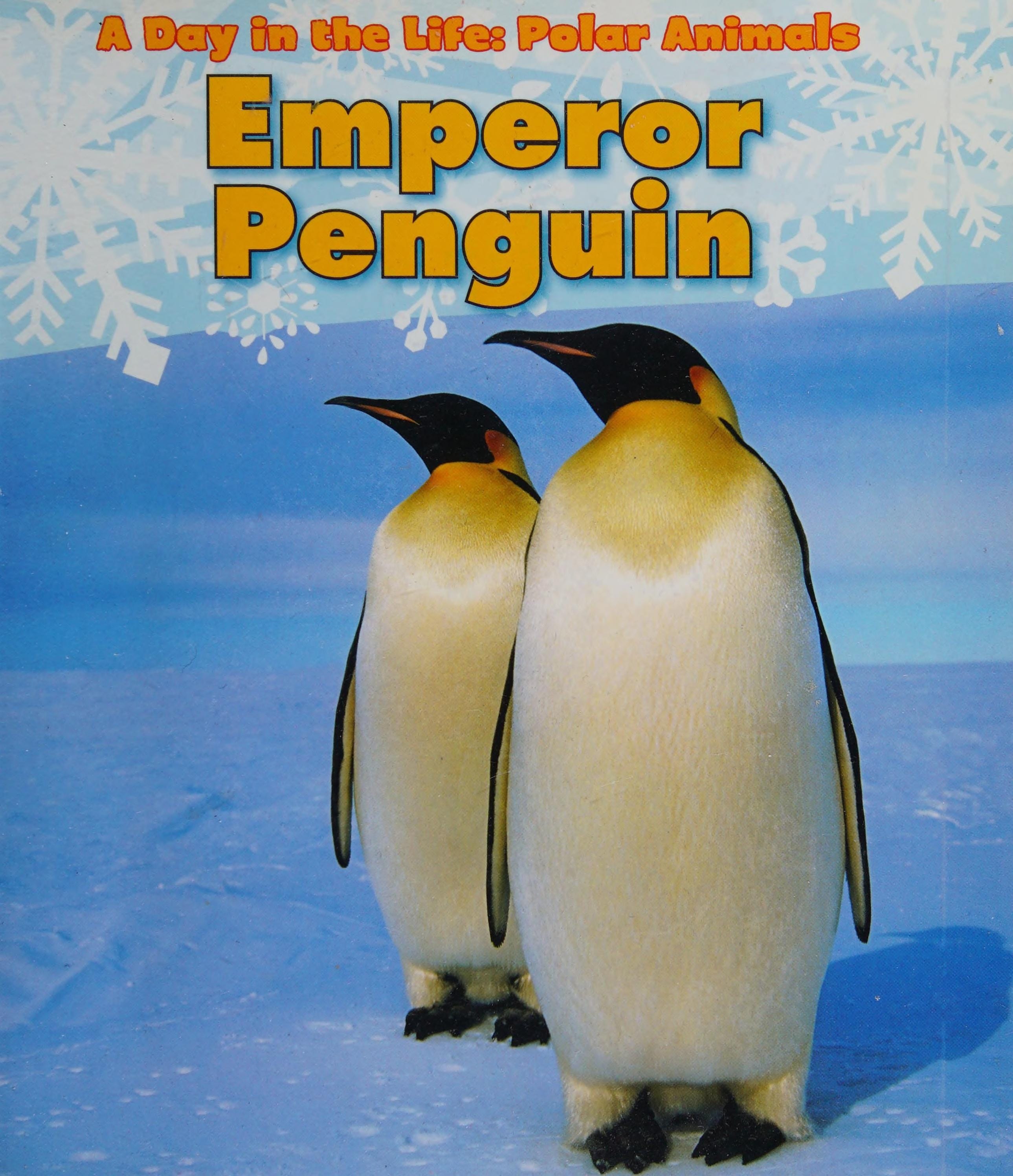 Emperor Penguin