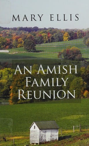 An Amish family reunion