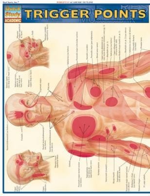 Trigger Points
            
                Quickstudy Academic