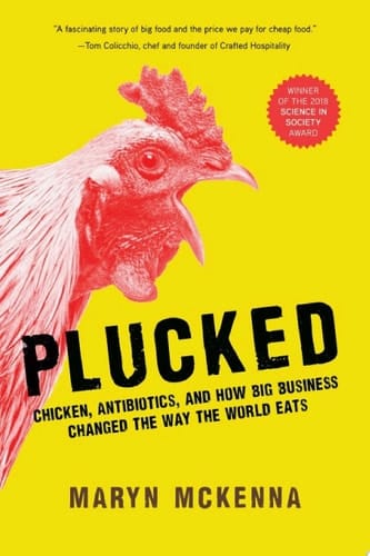 Plucked Chicken, Antibiotics, and How Big Business Changed the Way We Eat