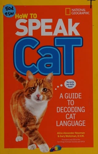How to Speak Cat A Guide to Decoding Cat Language