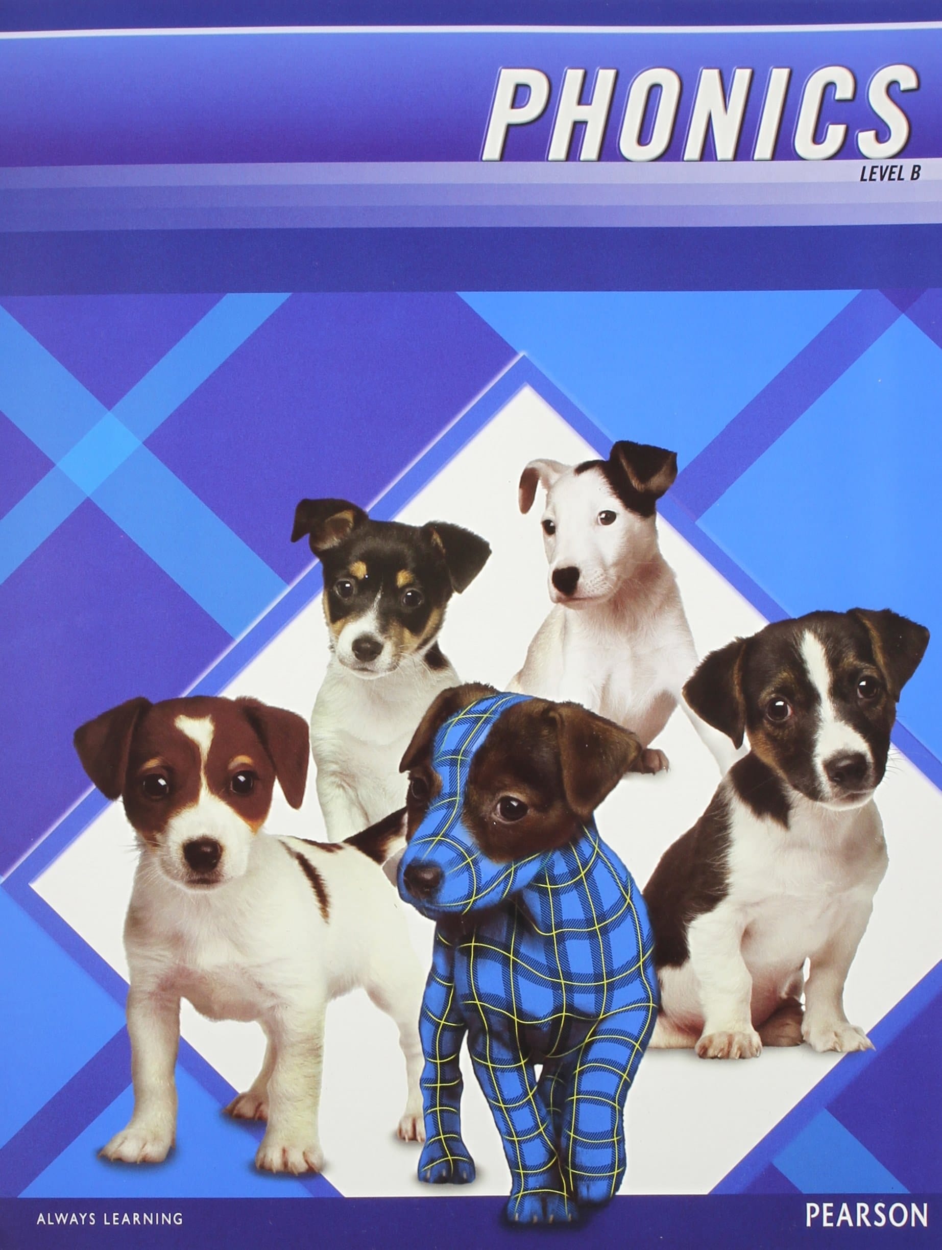 Pearson Phonics Level B