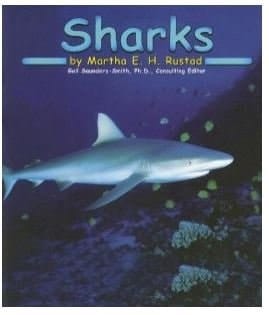 Sharks [Scholastic]