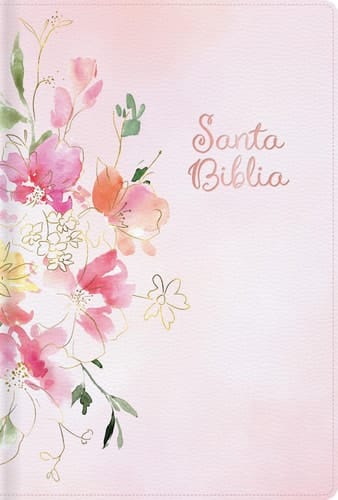Rvr 1960 Biblia Letra Grande Tamaño Manual Edición Especial, Rosa Símil Piel Santa Biblia