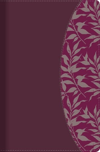 Rvr 1960 Biblia de Estudio Para Mujeres, Vino Tinto/Fucsia Símil Piel Con Índice