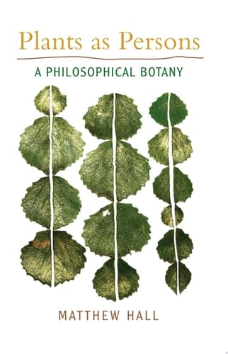Plants as persons