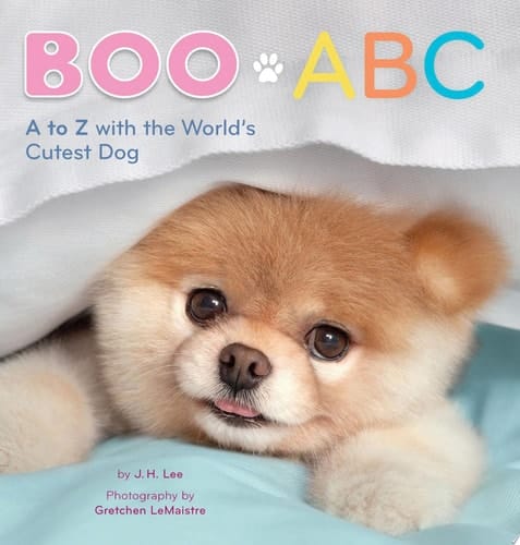 Boo ABC A to Z with the World's Cutest Dog
