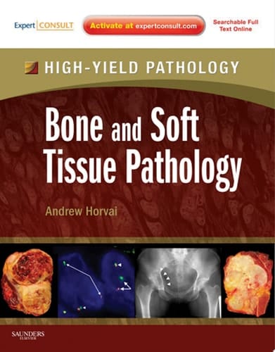 Bone and Soft Tissue Pathology E-Book A Volume in the High Yield Pathology Series