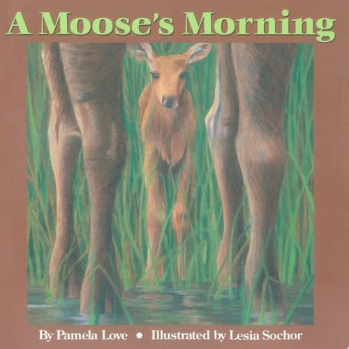 A Moose's Morning