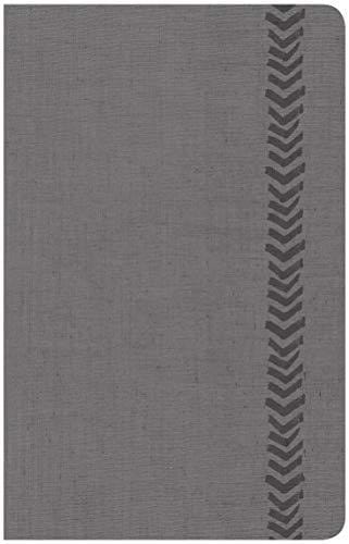 CSB Essential Teen Study Bible, Personal Size, Gray LeatherTouch