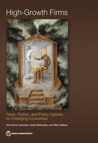 High-Growth Firms Facts, Fiction, and Policy Options for Emerging Economies