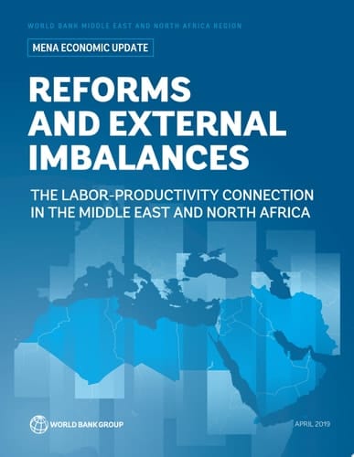 Reforms and External Imbalances The Labor-Productivity Connection in the Middle East and North Africa