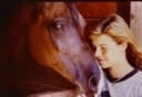 Creature Comforts An Anthology