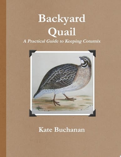 Backyard Quail